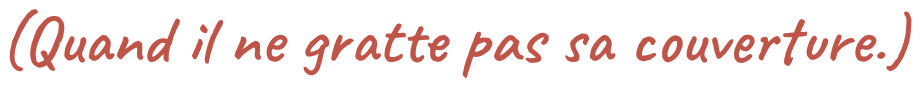 (Quand il ne gratte pas sa couverture.)